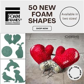 50 New Foam Shapes 50 New Foam Shapes